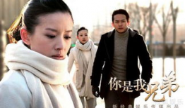 电视剧你是我兄弟全集在线观看,兄弟情深，命运交织的感人故事